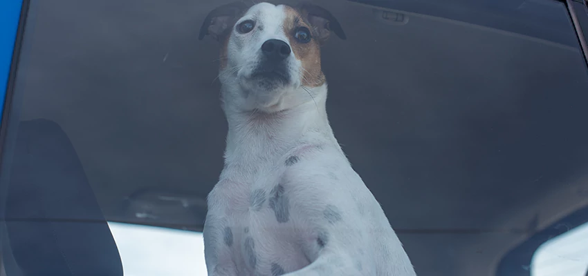 Car Lockout Solutions in Napa, California